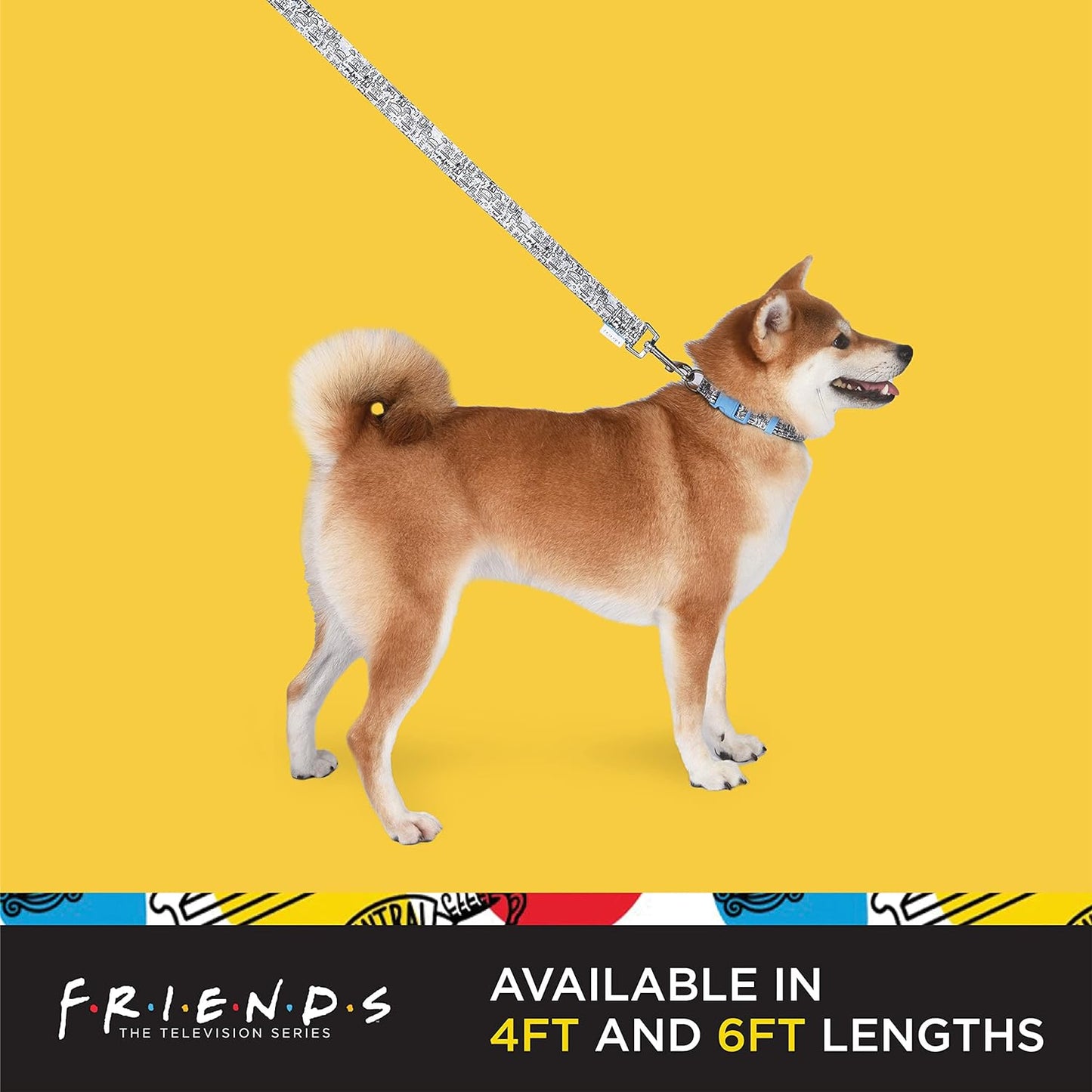 Friends TV Show City Doodle Dog Leash, 4 Ft (48 Inches) | Cute Blue Dog Leash Easily Attaches to Any Collar or Harness
